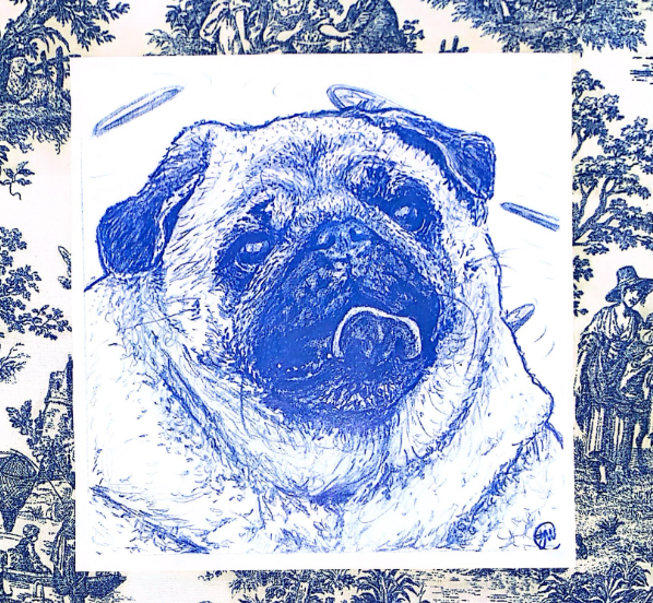 Portrait/Pet Commission